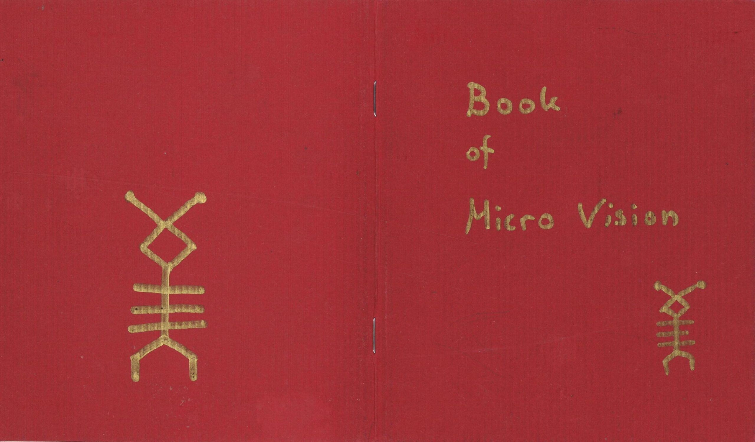 The Book of Micro Vision